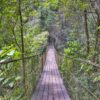 ponte pensil no parque recanto das cachoeiras em Brotas