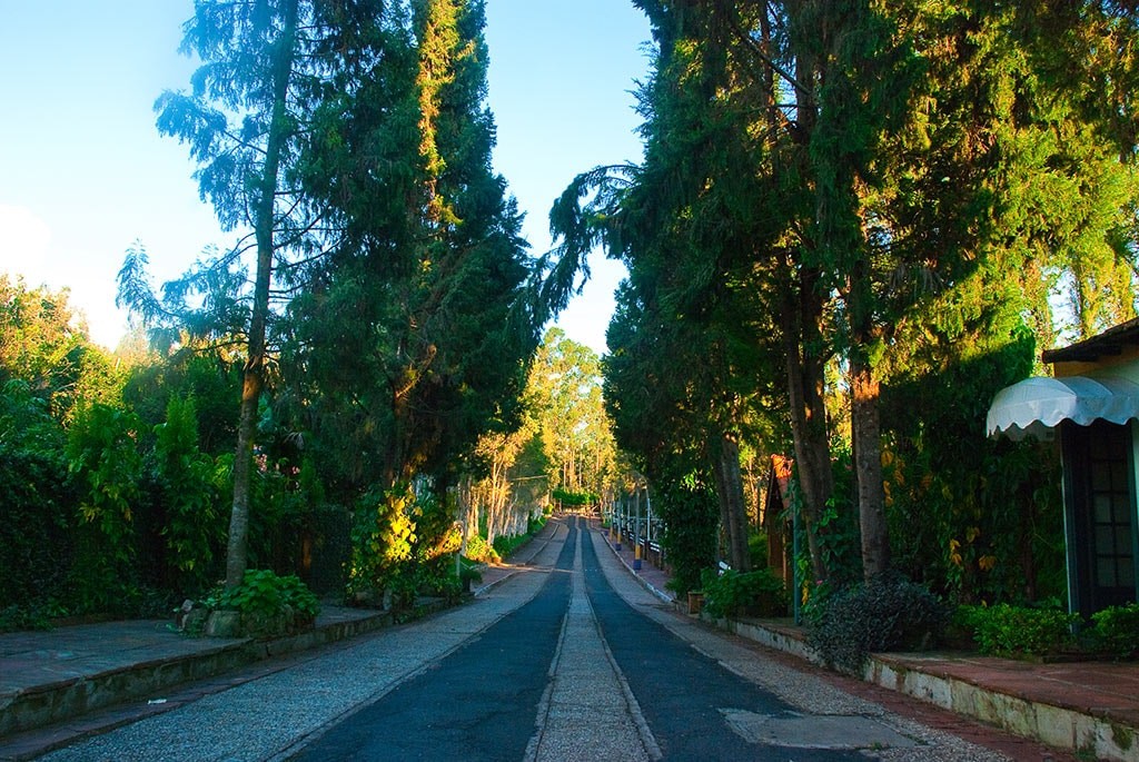 entrada-da-pousada-caminho-para-a-chegada-aos-chalés