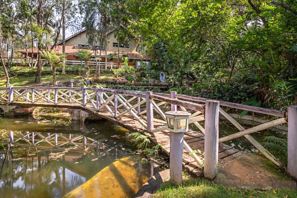 ponte-de-madeira-sobre-o-lago-com-peixes